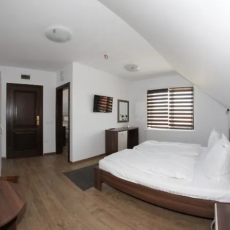 Pensiunea Denim Gasthof 3*